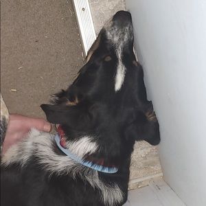 Meet your Posher, Aj